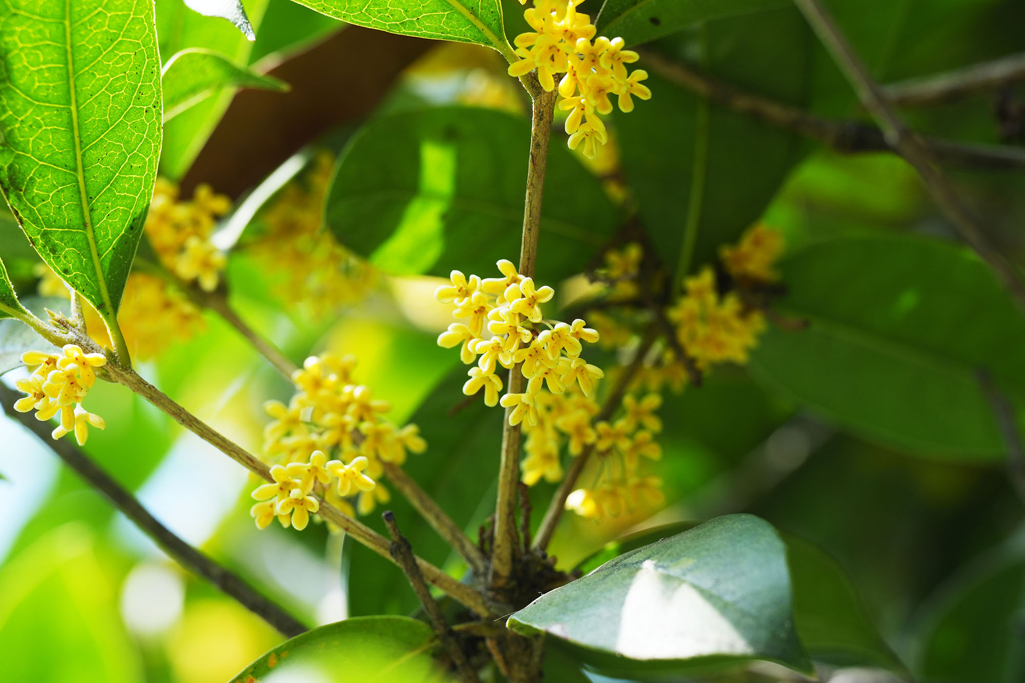 首页|bifa必发集团中国官方网站