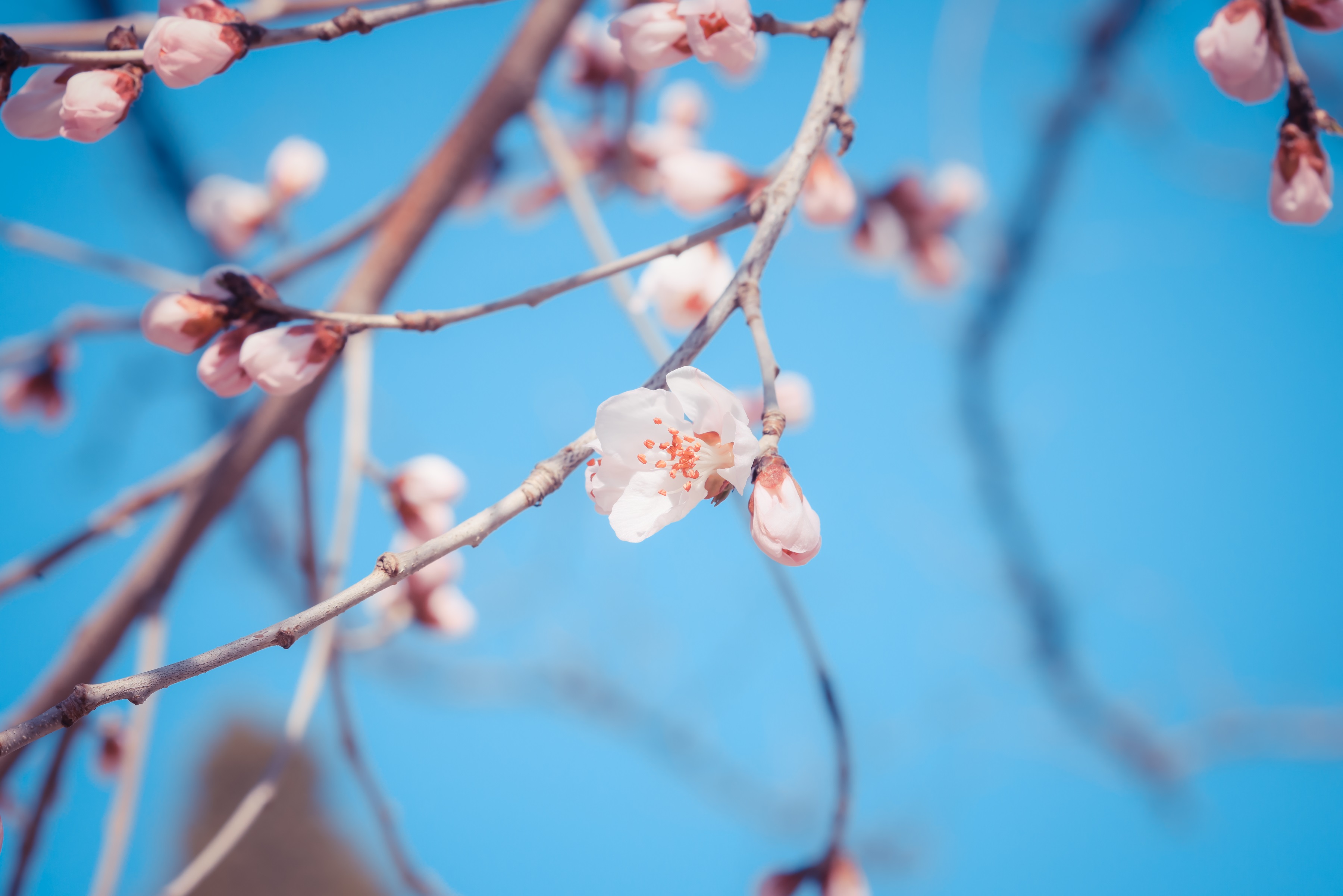 首页|bifa必发集团中国官方网站