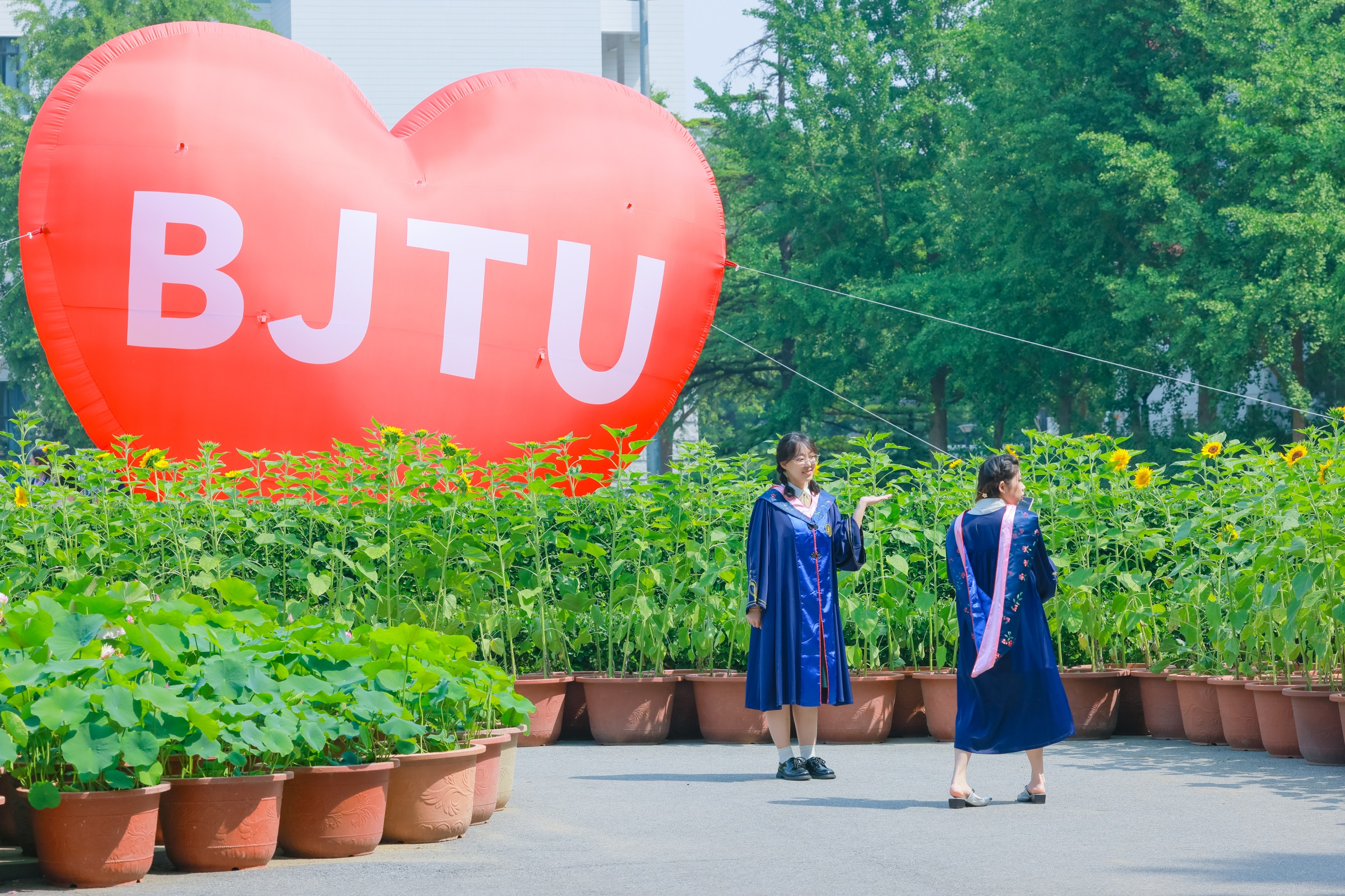 首页|bifa必发集团中国官方网站